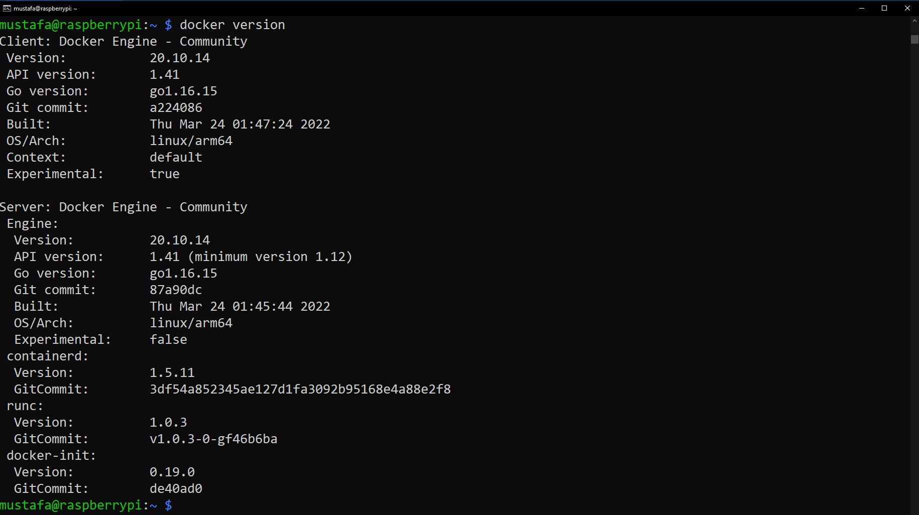verify docker installation on Raspberry Pi